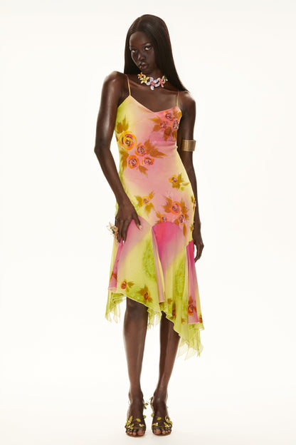 Woman wearing a colorful floral dress on a white background